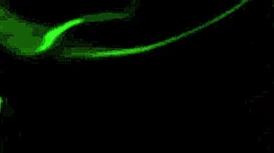 Cute Cat Girl Rides Dick At Party