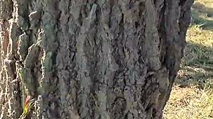 i'm peeing from a tree in the gral paz, feeling so free and beautiful