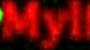 קוגר סקסית הופכת לילה בודד לתענוג מלא זין