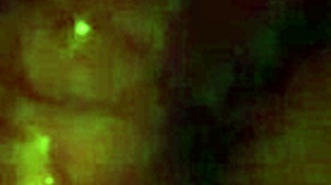 My uncle masturbates my hairy vagina passionately