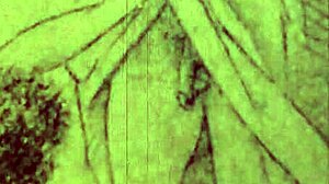 man, these vintage erotic drawings got me all nostalgic and stuff!