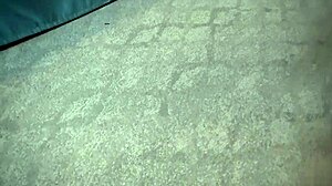 super thick gem jewels all natural thick ass fucks bbc 😍