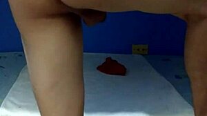 amateur solo exhibiting and shaking