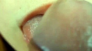 Extreme Close-Up Blowjob Delight