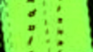 Summers Gone 13 - Homemade 3D Amateurs