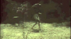 Dark Lantern Presents Beauty And The Beast