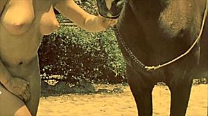 Dark Lantern Presents Beauty And The Beast