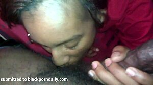 Homemade ebony blowjob with swallow submission