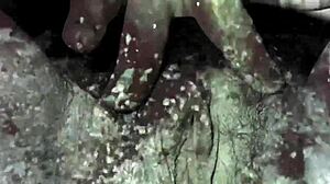 Dark Lantern Presents Beauty And The Beast