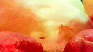 Dark Lantern Presents Beauty And The Beast