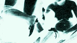 vintage erotic art collection from retro anime hentai cartoons