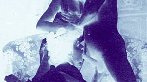 vintage erotic art collection from retro anime hentai cartoons