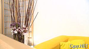 Emotional Stories From Homosexual Sex Blogs