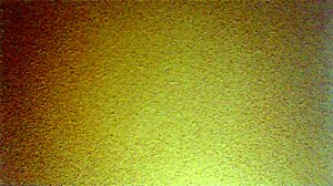 mexican amateur bent over for doggystyle 😈