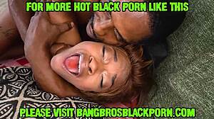 Ebony Blowjob With Harley Dean