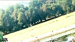 wife giving blowjob at public lake