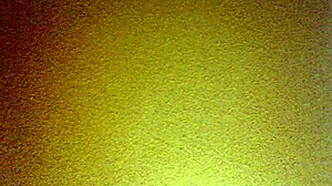 mexican amateur bent over for doggystyle 😈