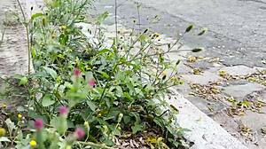 ركبت على زب صديقي الكبير