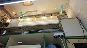 ¿Has visto a una chica loca hacer flash de falda arriba en el trabajo por dinero rápido?