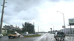 Homosexual interactions in mobile setting.