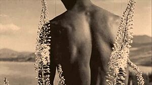 Viktoriánus vintage melegek erotikus antik baszásban