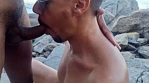 Beach Orgy Part 1 With Well-Endowed Participants