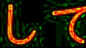 Lesbians Engage in Scissoring with Vibrators