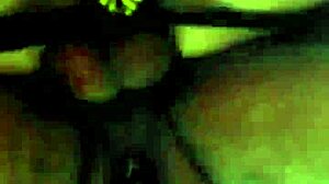 Forest Exploration With Waterfall Trail