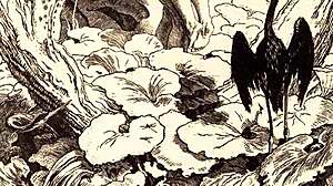 Vintage erotické kresby