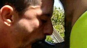 Forest Exploration With Waterfall Trail