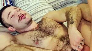 brazilian bear encounter in the woods