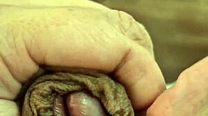 My Thick Penis In Anime Hentai Style