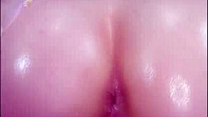 Thick Ass Pawg Rides Huge Dildo to Climax - How Long?