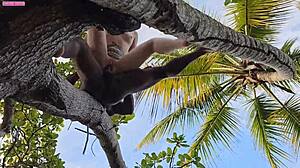 Blonde Amateur Fucked by Big Black Cock on Tall Tree