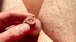 Edging from flaccid and playing with precum natural light