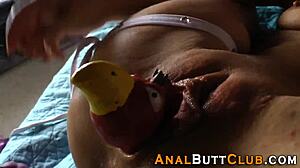 i love gaping my big ass in high definition compilation