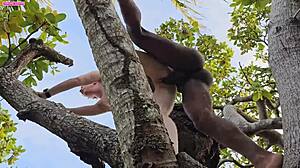 Blonde Amateur Fucked by Big Black Cock on Tall Tree