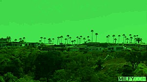 Limpando imagens hentai jogo paradise cleaning