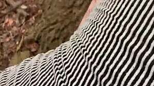 we got caught fucking in the park as i came in her espanol