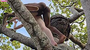 Blonde Amateur Fucked by Big Black Cock on Tall Tree