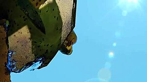 In this anime episode, bengal tiger from kemono friends gets fucked hard by friends