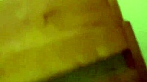 Amateur ebony homemade sucking and doggystyle action