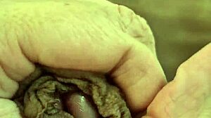 My Thick Penis In Anime Hentai Style