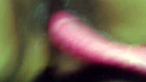 I fucked Lucy's ass with a dildo.