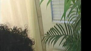 TheShimmyShow Features Trinidad Island Hottie Foxy Roxy