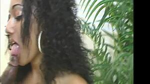 TheShimmyShow Features Trinidad Island Hottie Foxy Roxy