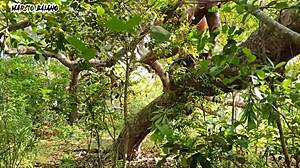 Who’s This Brazilian Slut Getting Intense Anal in Paradise?!