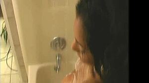 TheShimmyShow Features Trinidad Island Hottie Foxy Roxy