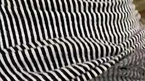 we got caught in the forest as she begged passionately