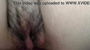 아내의 신선한 크림파이 점심으로 먹음. 네 번째 맛있는 간식!